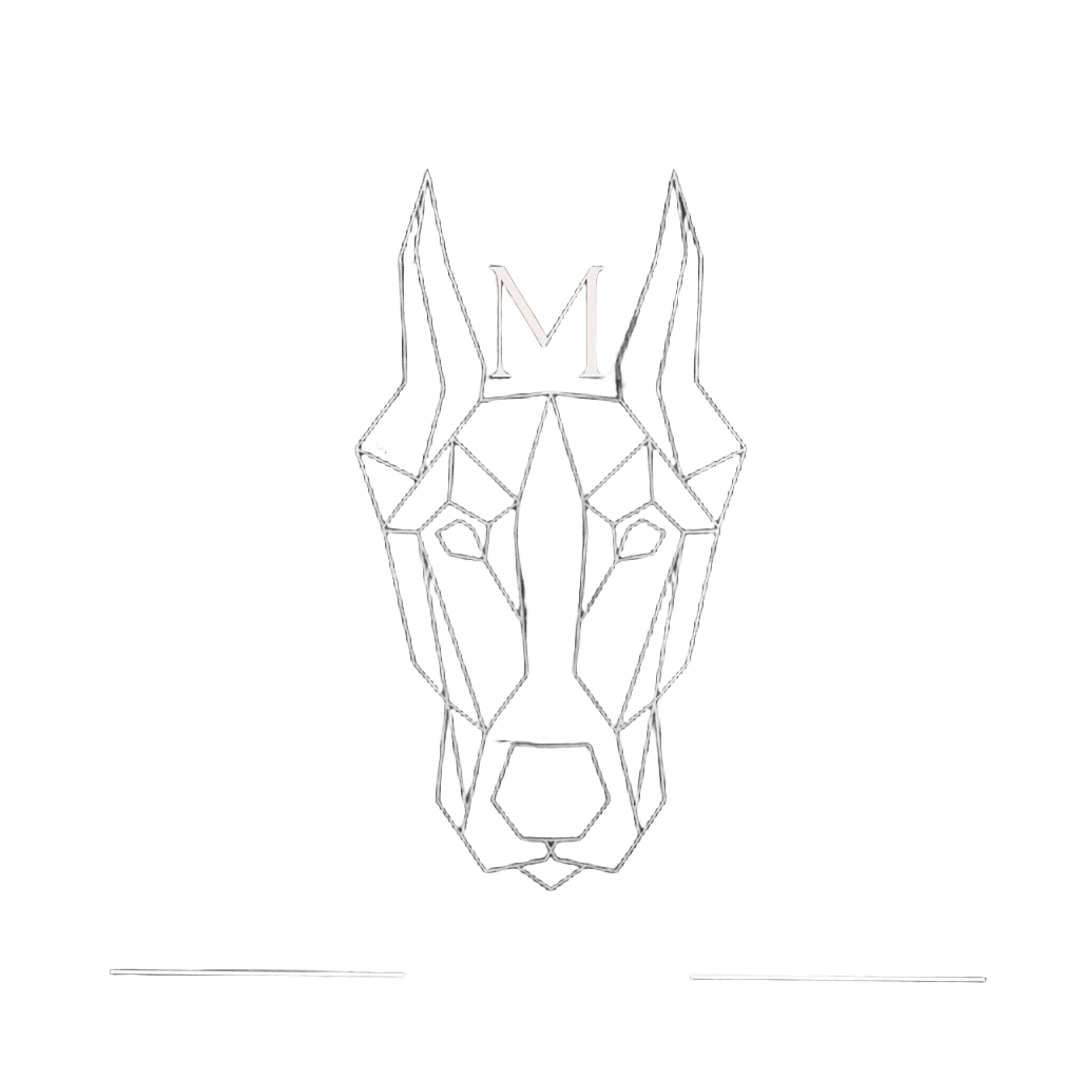 Logo MELAVIA